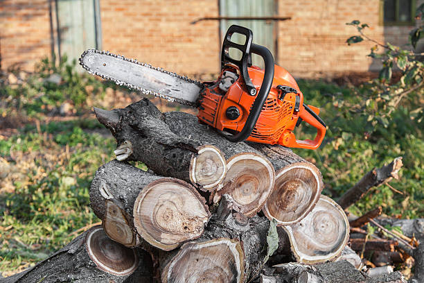 Best Stump Grinding Near Me  in Robinson, TX